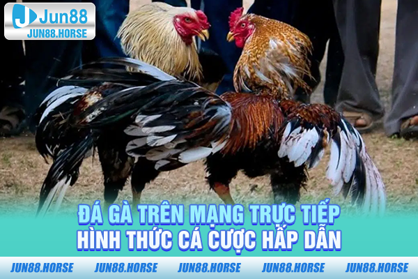 Đá Gà Trên Mạng Trực Tiếp - Hình Thức Cá Cược Hấp Dẫn