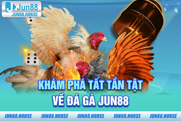 Khám phá tất tần tật về đá gà JUN88