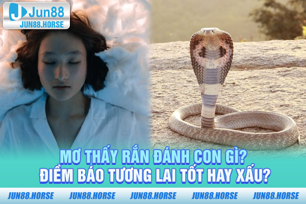 Mơ Thấy Rắn Đánh Con Gì? Điềm Báo Tương Lai Tốt Hay Xấu