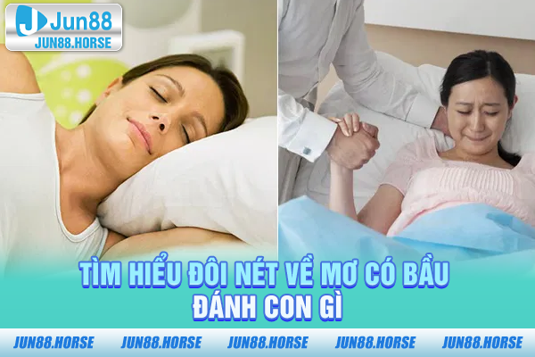 Tìm hiểu đôi nét về mơ có bầu đánh con gì
